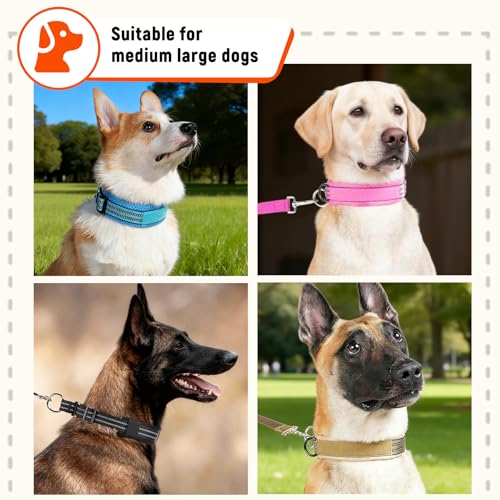 Ledeak Martingale Hundehalsband, Hundehalsband Zugstopp für Mittelgroße & Große Hunde, Zughalsband mit Stopp für Hunde, Trainingshalsband für Training & Spaziergänge (Rosa, L)