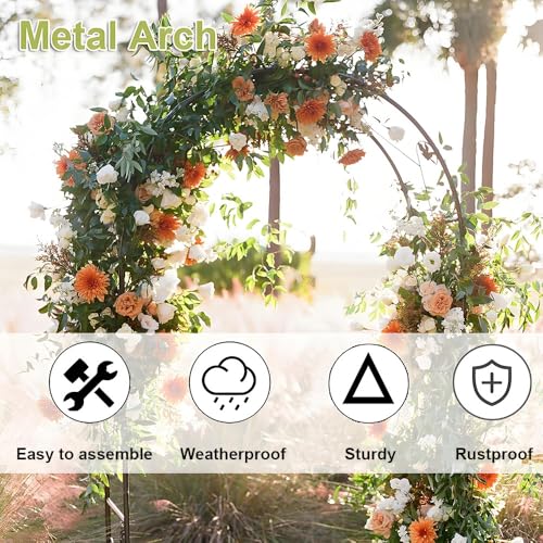 Support autoportant pour rosiers grimpants et arche de fleurs modulable noire