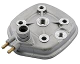 Wir empfehlen zusätzlich einen Zylinderdichtsatz mit zu bestellen und diese beim Wechsel des Zylinderkopfs auszutauschen