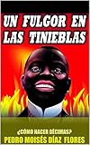  UN FULGOR EN LAS TINIEBLAS (Spanish Edition)