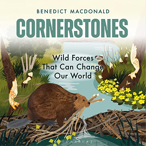 Cornerstones by Benedict Macdonald episode artwork