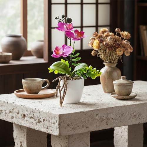 Image of KARP Artificial Potted Plants, 27Cm Height Mini Faux Orchid Flowers Plant with White Ceramic Pots Home Decor, Indoor Artificial Ornamental Plants for Living Room, Office Desk & Bathroom, Decorative