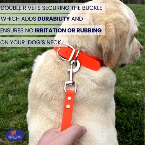 Regal Dog Biothane Training Tab Leash for Dogs - 12" Orange
