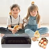 4YANG Incubadora de Huevos, Incubadora de Transferencia automática de 12 Huevos, Incubadora de Aves de Corral Pantalla LED Digital Temperatura controlable, Adecuado para Pollos, Patos, pájaros