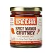 Brooklyn Delhi Spicy Mango Chutney - 9 Ounces - Made with Ripe Mangos, Golden Raisins, Fresh Ginger, Garam Masala, and Lemon Juice for a Nice Sour Note - Vegan - No Artificial Additives