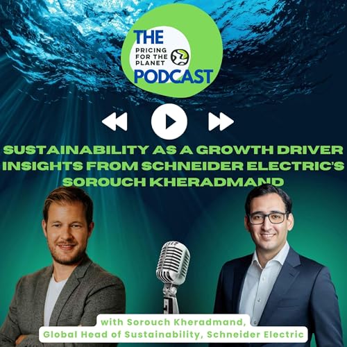 Sustainability as a Growth Driver &ndash; Insights from Schneider Electric&rsquo;s Sorouch Kheradm