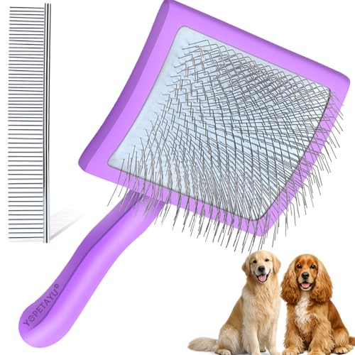 Brosse de toilettage pour chien contre la perte de poils des chats à poils longs