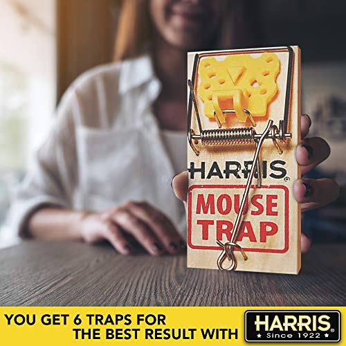 Harris Wooden Mouse Snap Traps (6-Pack) #TOP5
