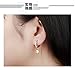 TIDOO 18K Gold Plated Sparkly Cubic Zirconia Drop Earrings For Women Small Crystal Dangle Earring Jewelry Star Shaped Earrings (golden)