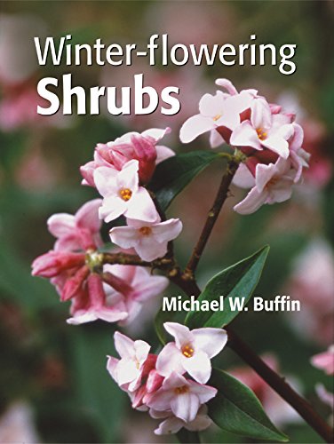 Winter-Flowering Shrubs view 2