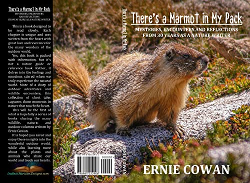 marmot packs