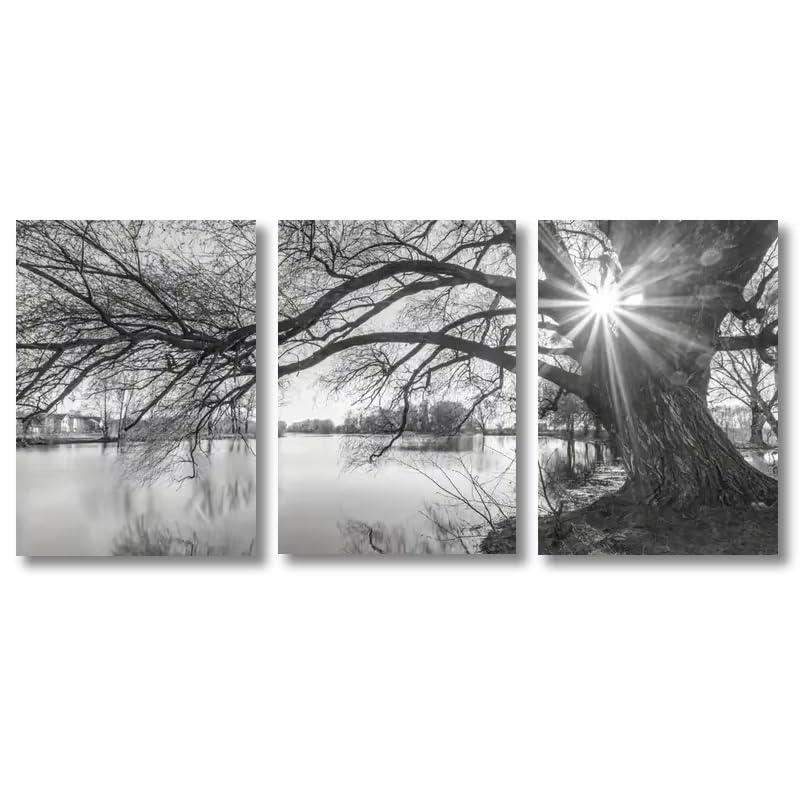 Posters paysage de coucher de soleil pour décorer un salon ou une chambre moderne 60x90cm