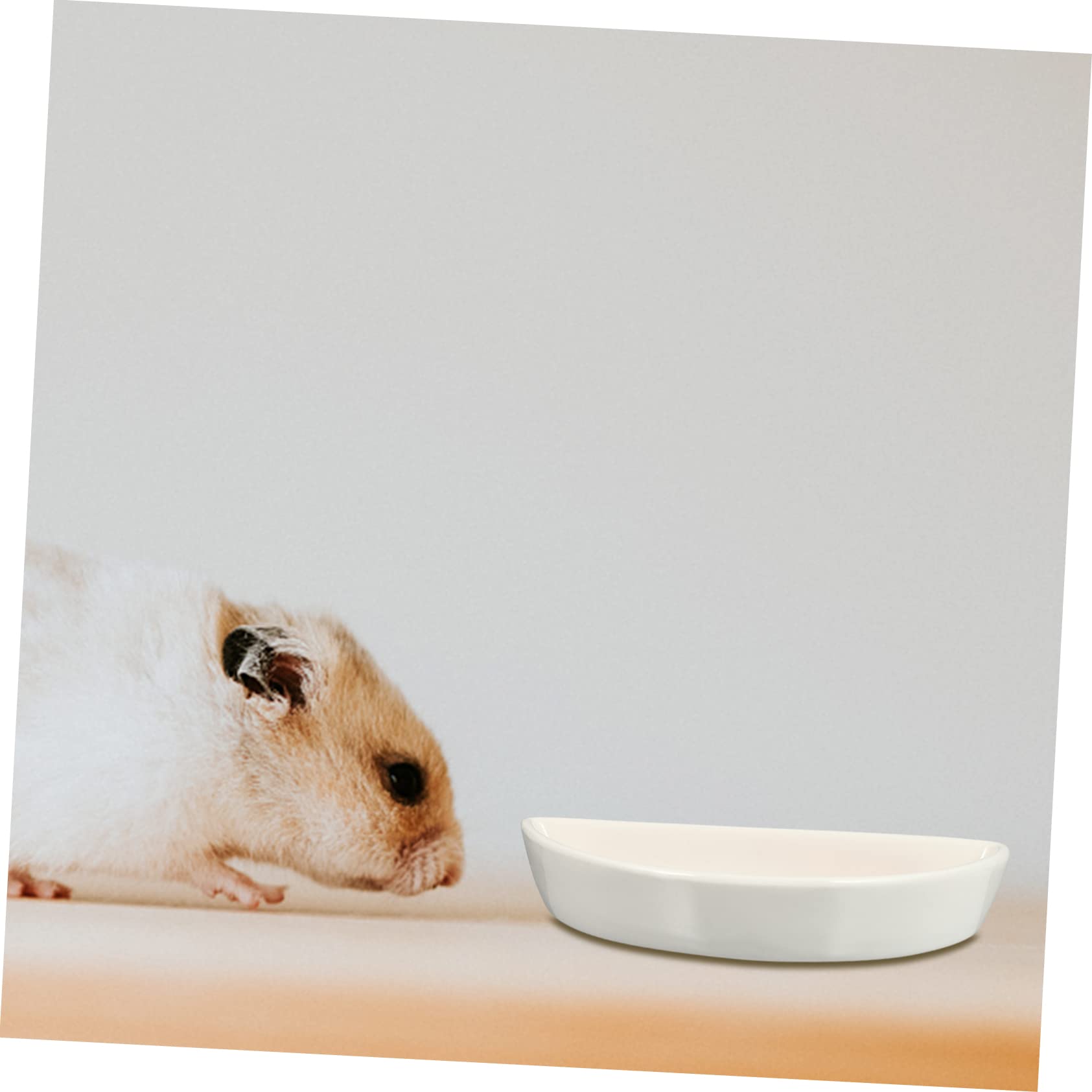 Iplusmile Keramik-Wassernapf Für Hamster – Rutschfest, Spülmaschinenfest, 7,7x7,7x3,5 Cm