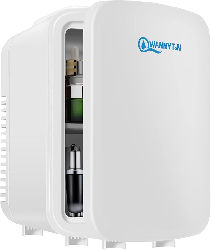 WANNYTON Mini Fridge 4 Litre / 6 Can Portable Fridge Cooler/Warmer, Car