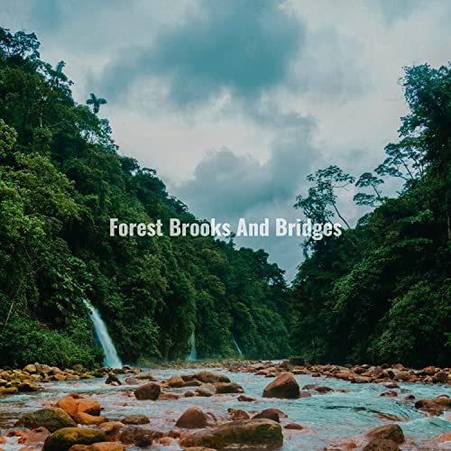 Forest Brooks And Bridges
