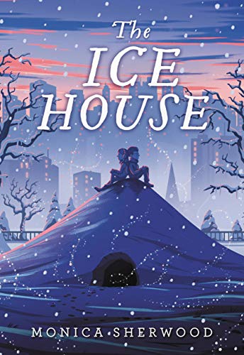 The Ice House view 2