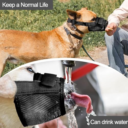 TEOZBLU Maulkorb für Hunde, Verstellbare Schlaufe, Atmungsaktiv, Sicherer, Schneller Sitz Für Kleine,Sicher Atmungsaktives Bellen und Kauen, mit Verstellbarer Schlaufe, Atmungsaktives Mesh-L