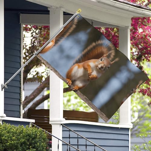 Drapeau de jardin amusant écureuil bannière de vacances extérieur maison