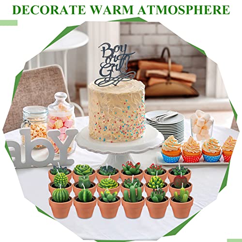 18 Pcs Succulent Cactus Tealight Candles 18 Pcs Terracotta Clay Candle Holder 20 Paper Gift Tags 20 White Sheer Organza Bag For Birthday Wedding Party Favor(Classic Style) #TOP2