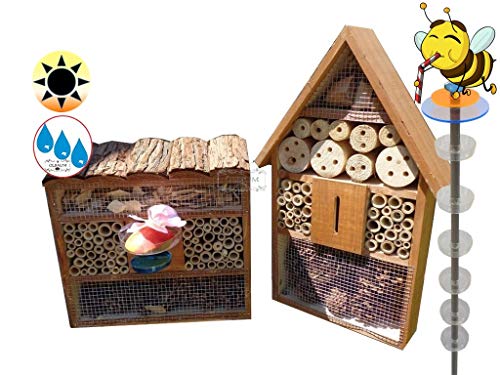 BTV XXL Bienentränke + Insektenhotel mit 3.5-facher Oberfläche 120 cm mit Halter x 50 cm, 2X Lotus Bienenhotel,