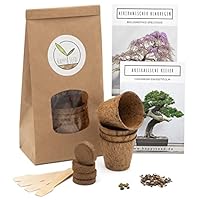Bonsai Starter Kit Anzuchtset inkl. eBook - Pflanzset aus Kokostöpfen, Samen & Erde - nachhaltige Geschenkidee für Pflanzenfreunde (Afrikanischer Blauregen + Australische Kiefer)