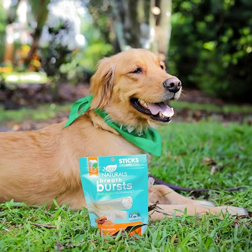 Image of ARK Naturals Breath Bursts Dog Treats, Dog Dental Sticks for Large Breeds, Unique Texture Helps Clean Teeth & Freshen Breath, Cinnamon, 6 oz, 1 Pack