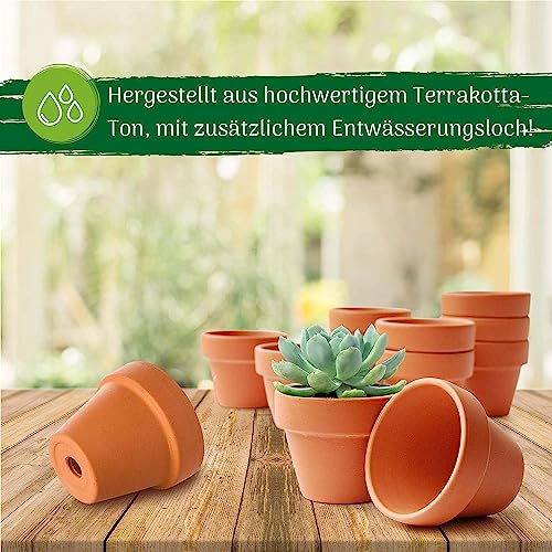 Kräutertöpfe Green Thumbz im 16er-Set für Innen- und Außenbereich