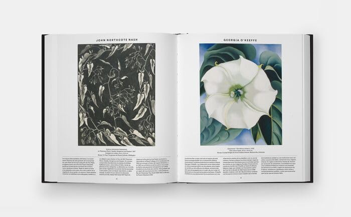 Plant: Exploring the Botanical World, Compact Format (Spanish Edition)