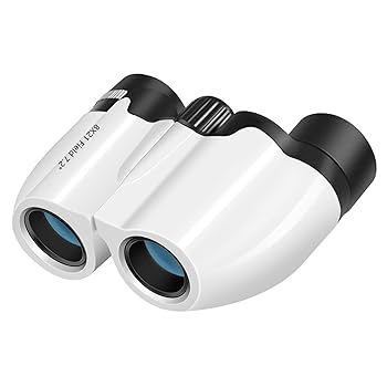 からめる　ページ Amazon | キジマ(Kijima) バイクパーツ ナンバープレート