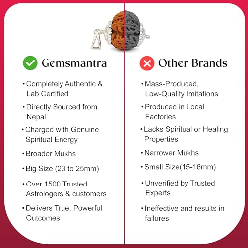 Image of GemsMantra 8 Mukhi Rudraksha Pendant in 92.5 Sterling Silver | Original Nepali Rudraksha Bead | Lab Certified | Medium Size | Spiritual Pendant for Men & Women | Ganesha Symbol of Wisdom & Success