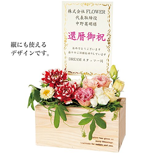 Amazon.co.jp: メッセージカード 金フレーム-大 (20枚) NCG-C1