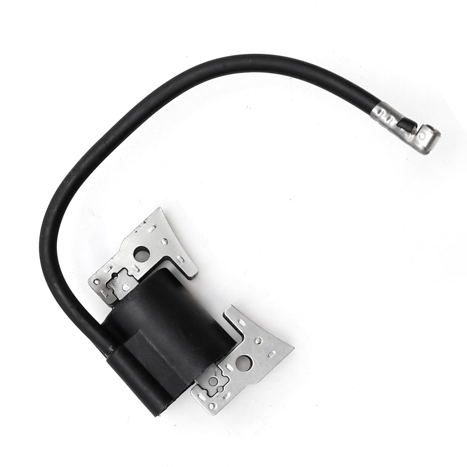 Amazon.com: Ignition Coil Module 101909201 Replacement for 