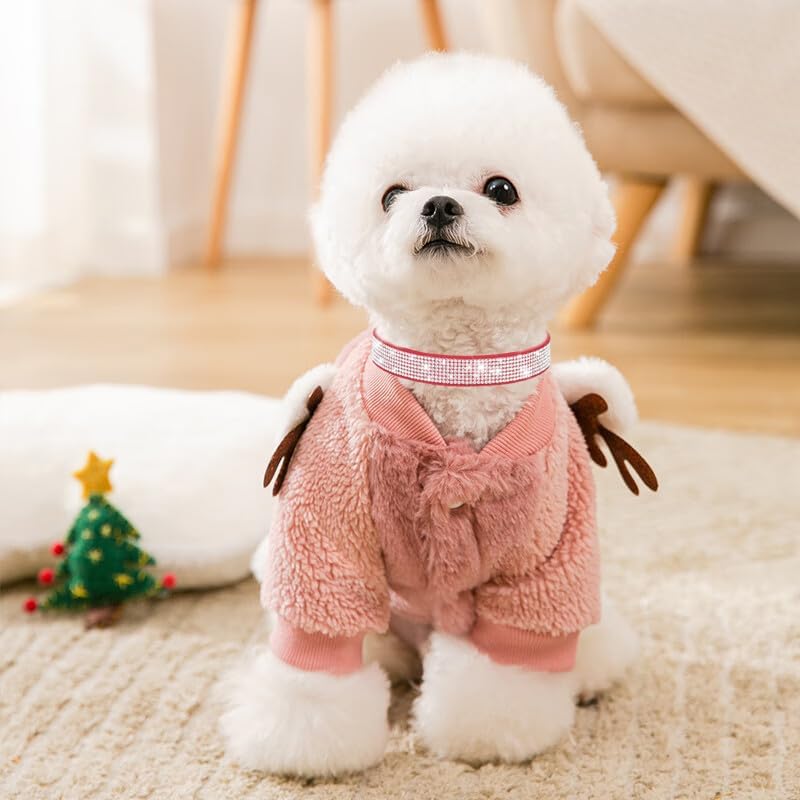 Miniatura 2 de Diamond XS - Collar para perro y niña, collar brillante con diamantes de imitación de cristal con purpurina, collares para cachorros XXS XS, perros