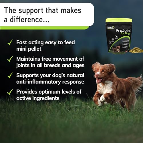 Lillidale ProJoint - Premium Anti-Inflamatory Dog Joint Supplement 500g -14 Active Ingredients include Green-Lipped Mussel, Chondroitin, Glucosamine, Collagen Matrix & Curcumin. Recommended by Vets - Image 5