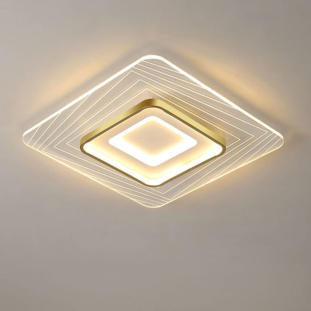 LED Dimmable Restaurant Ceiling Lamp with Remote Control - Modern Acrylic Chandelier Metal Spotlights for Living Room, Bedroom, Bathroom, Cottage