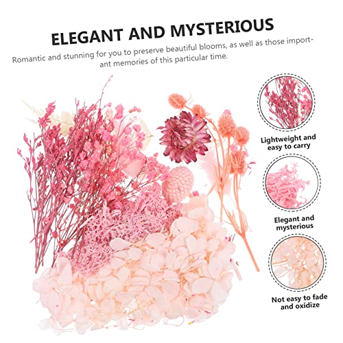 EXCEART 5 Conjuntos De Molduras Para Fotos De Imortalidade De Flores Secas Flores Naturais Plantas R