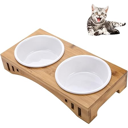 feeding table for cats