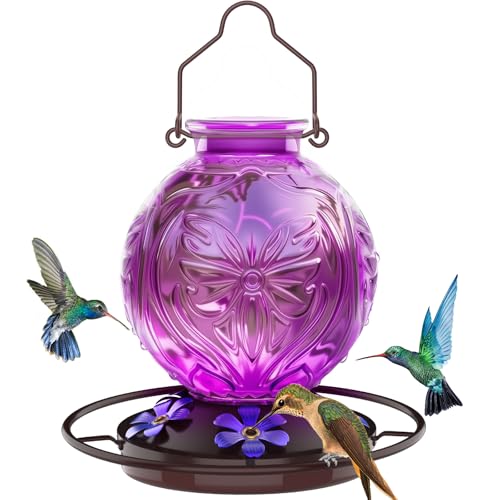 Glass Hummingbird Feeder for Outdoors Hanging 25Oz Humming Bird Nectar Feeders with Perch & 5 Flower Feeding Ports Leak Proof for Outside Garden Decor Gifts for Women (Purple)