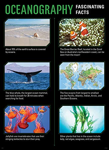 Affiches Earth Science pour dynamiser les murs de votre classe - 2