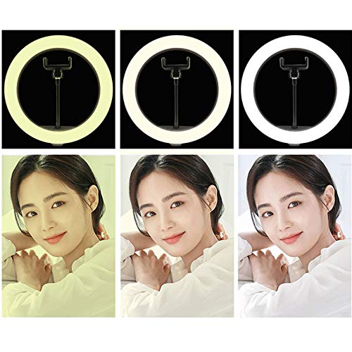 Anello Luce LED Da 10 Pollici Con Treppiede E Braccio Regolabile Per Telefono – Dimmerabile, 3 Temperature Colore, Ideale Per Video, Selfie, Makeup E Tik Tok