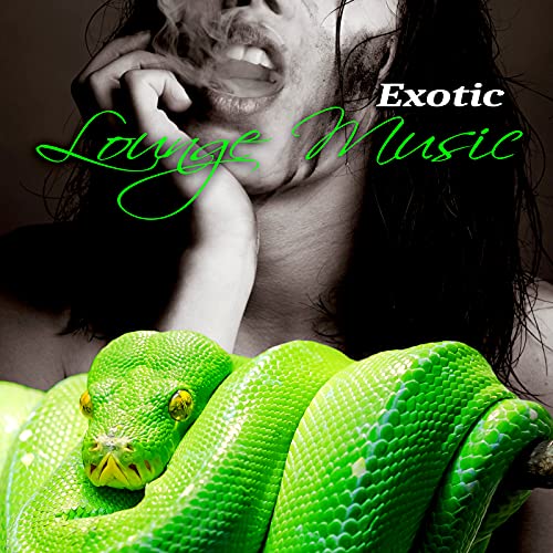 Exotic Lounge Music - Oriental Dance, Buddha Chill Lounge Collection, Tantric CafÃ© & Exotic Party Music, Sexy Asian Fashion, Indian Bar Music, Taste of the Chillout, Sex Music [Explicit]