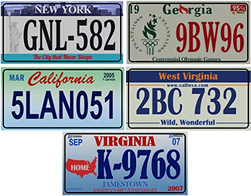 OPO 10 - Los mit 5 USA Autokennzeichen aus Metall - Nachbildungen von echten amerikanischen Kennzeichen (v8)