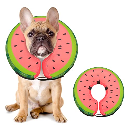 List of Ten Best Donut Collar For Dogs Top Picks 2023 Reviews