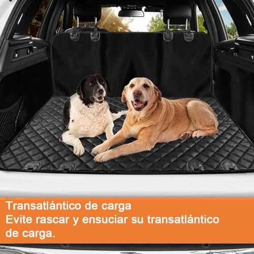 Mascotas, Imagen adicional