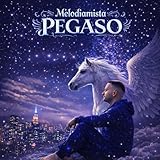  Pegaso