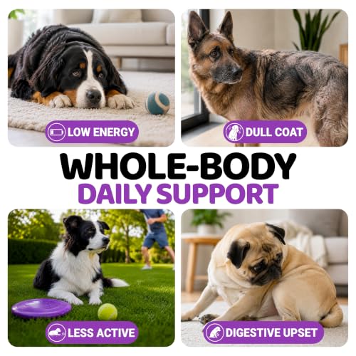 Dog Vitamins and Supplements, 240 Treats, Dog Multivitamin with Glucosamine - Image 4