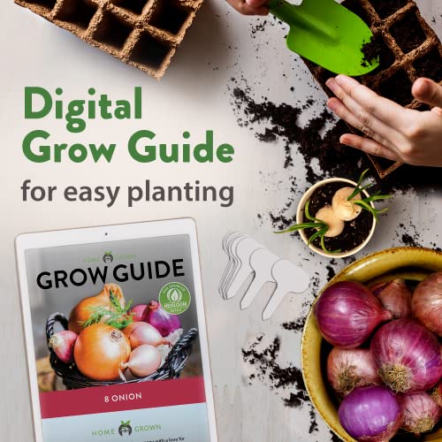 8 Onion Seeds For Planting - 1600 Heirloom Onion Seeds - Green Onion, Sweet Onions, Vidalia, Spanish, Yellow And Red Onion Vegetable Seeds For Planting And More #TOP7