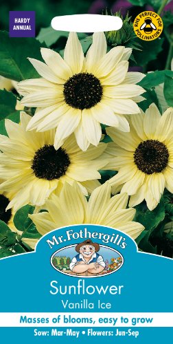 Mr. Fothergill's Vanilla Ice Sunflower Seed, pale yellow