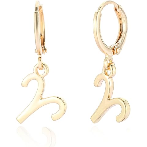 14k Gold Plated Zodiac Sign Drop Hoop Earrings for Women Birthday Gift