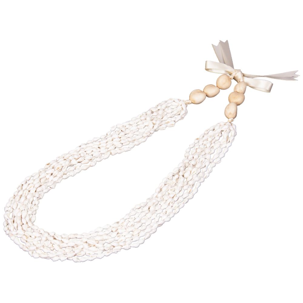 モンゴシェルレイ 10点